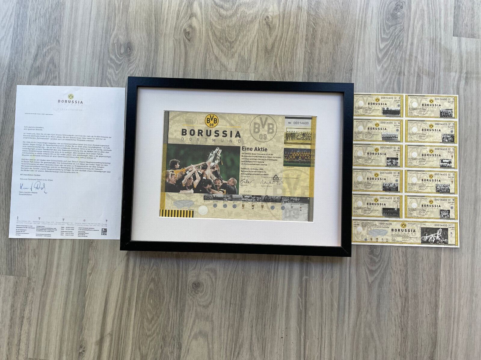 Original BVB Borussia Dortmund jewelry stock framed