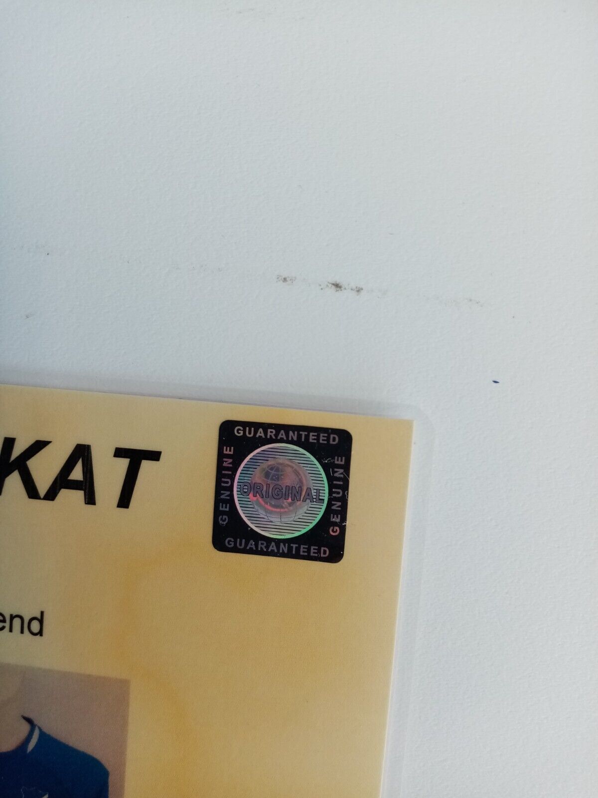 1899 Hoffenheim jersey 18/19 team signed autograph football bundesliga Lotto XL