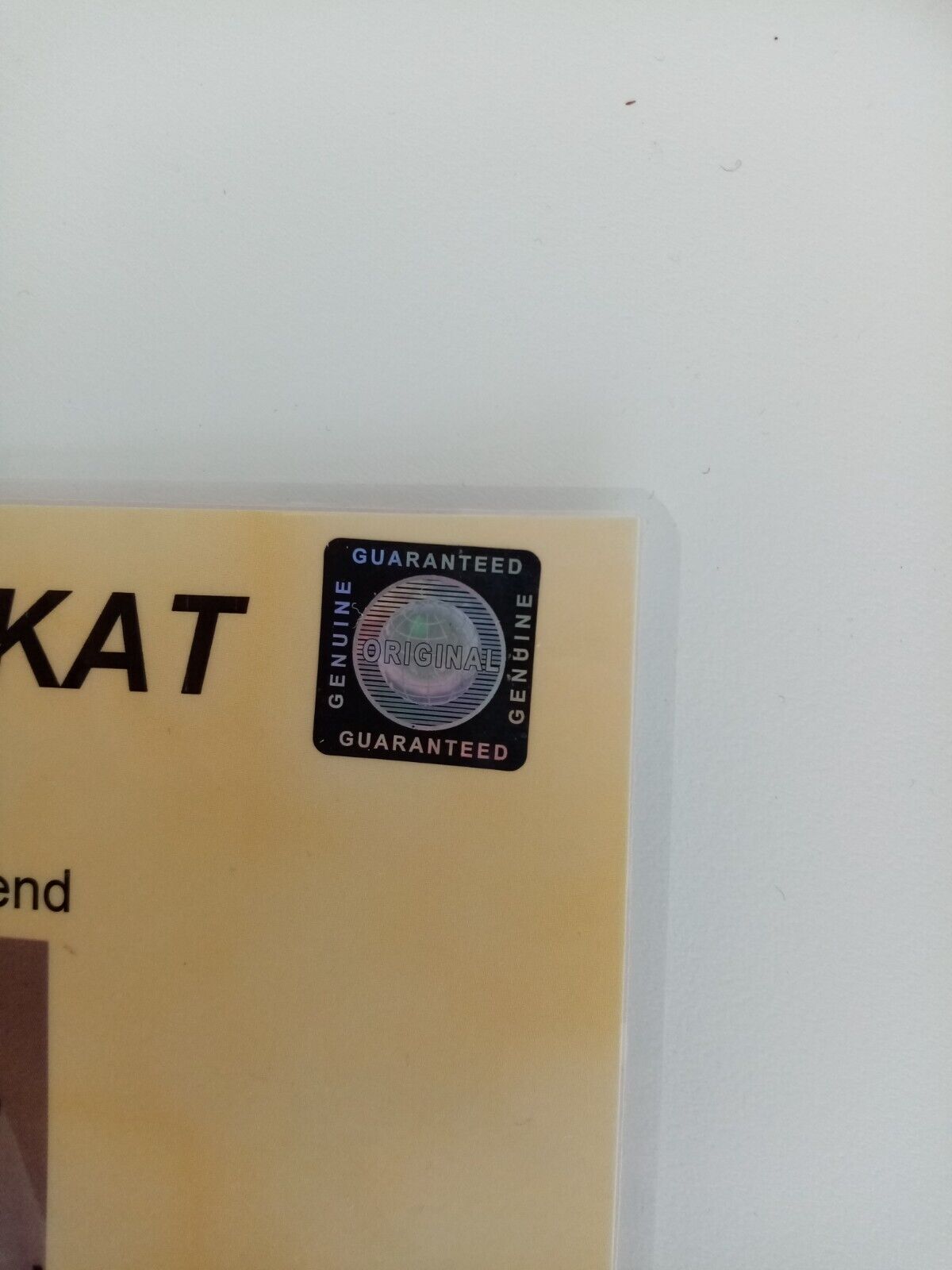 Deutschland Trikot WM 2010 Teamsigniert DFB Fußball Autogramm Adidas Neu XL