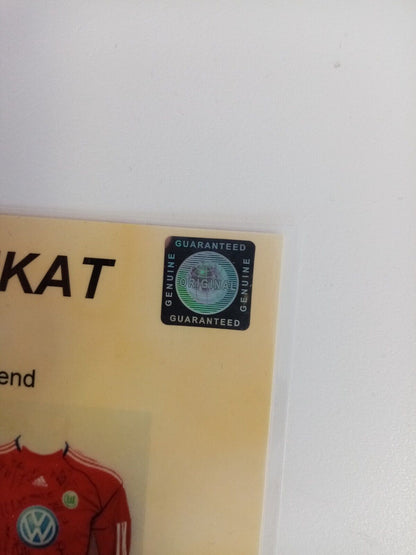 VFL Wolfsburg Torwart Trikot 2013/2014 Teamsigniert Adidas Bundesliga Wölfe 152