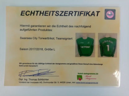 Swansea City Torwarttrikot 2017/2018 Teamsigniert England Joma Trikot Fußball L