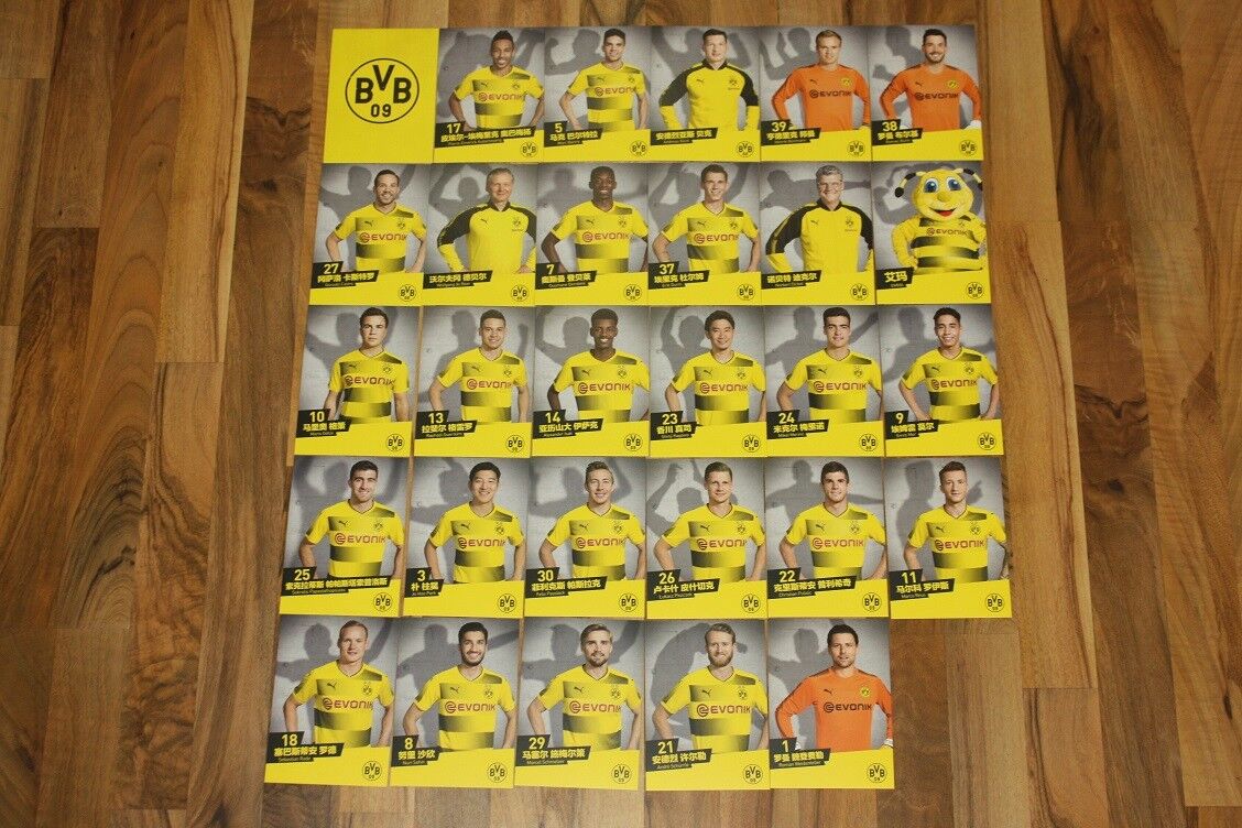 29 Autogrammkarten Borussia Dortmund BVB 2017/18 17/18 Asien Tour China DFB RAR